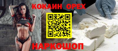 прущие крисы Кингисепп