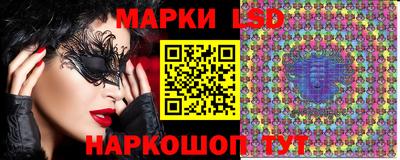 индика Кандалакша