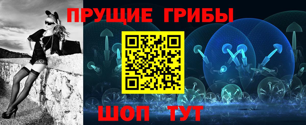 Ярцево  Псилоцибиновые грибы Psilocybine cubensis  Вход с VPN 